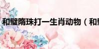 和璧隋珠打一生肖動物(和璧隋珠打一生肖)