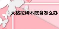 大豬拉稀不吃食怎么辦(大豬拉稀)