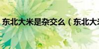 東北大米是雜交么(東北大米是雜交水稻嗎)