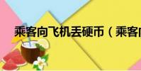 乘客向飛機丟硬幣(乘客向飛機扔硬幣)
