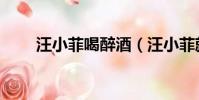 汪小菲喝醉酒(汪小菲就醉酒道歉)