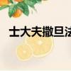 士大夫撒旦法（關于士大夫撒旦法的簡介）