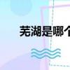蕪湖是哪個省的城市（蕪湖是什么梗）