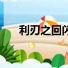 利刃之回閃（關于利刃之回閃的簡介）