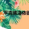 平克佛洛依德（關于平克佛洛依德的簡介）
