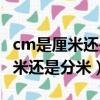 cm是厘米還是分米還是毫米還是米（cm是厘米還是分米）