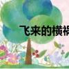 飛來的橫禍（關于飛來的橫禍的簡介）