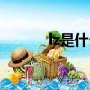 lz是什么意思（lz是什么意思）