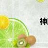神雕驚雷（神雕驚雷）