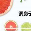 銅鼻子學名叫什么（銅鼻子）