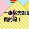 一妻多夫制是對女人的輕視嗎（一妻多夫制是真的嗎）