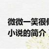 微微一笑很傾城 小說（關于微微一笑很傾城 小說的簡介）
