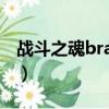 戰斗之魂brave（關于戰斗之魂brave的簡介）
