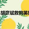 胡彥斌救狗英雄是什么梗（胡彥斌 救狗英雄）
