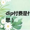 dip付費是什么意思ppt（DIP付費是什么意思）