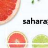 sahara紡車輪怎么樣（sahara）