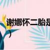 謝娜懷二胎是不是真的（謝娜懷二胎是真的嗎）