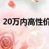 20萬內高性價比suv（20萬內高性價比suv）