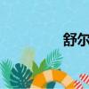 舒爾入耳式耳機（seres）