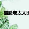 貓臉老太太圖片（關于貓臉老太太圖片的簡介）
