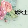 龍穴土色推算方法（龍穴塔防）