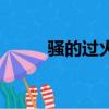 騷的過火（關于騷的過火的簡介）