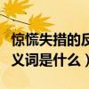 驚慌失措的反義詞是什么視頻(驚慌失措的反義詞是什么)