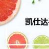 凱仕達手柄（凱仕達手柄驅動）