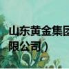 山東黃金集團有限公司估值（山東黃金集團有限公司）
