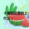 十里稻花香的上一句是什么二年級（十里稻花香的上一句是什么）