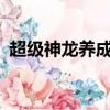 超級神龍養成系統txt全集下載（超級神龍）