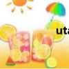 uta（關于uta的簡介）