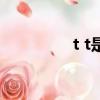 t t是什么付款方式（t t）