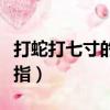 打蛇打七寸的七寸是指（打蛇打七寸的七寸是指）