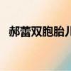 郝蕾雙胞胎兒子的爸爸（郝蕾雙胞胎兒子）