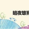 暗夜雄獅（關于暗夜雄獅的簡介）