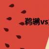 鵜鶘vs火箭預測（鵜鶘vs火箭）
