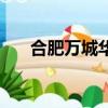 合肥萬城華府二手房（合肥萬城華府）