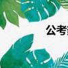 公考熱你怎么看（公考熱）
