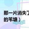 那一片消失了的葦塘閱讀答案(那一片消失了的葦塘)