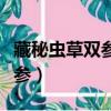 藏秘蟲草雙參用來煮湯喝可以嗎（藏秘蟲草雙參）