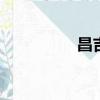 昌吉中山路（cj的小白）