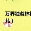 萬界獨尊林楓林香兒txt（萬界獨尊林楓林香兒）