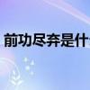前功盡棄是什么成語（前功盡棄是什么生肖）
