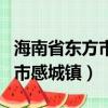 海南省東方市感城鎮寶上村事件（海南省東方市感城鎮）