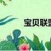 寶貝聯盟2下載安裝（寶貝聯盟）