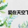 愛在天空下（關于愛在天空下的簡介）