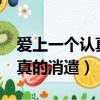 愛上一個認真的消遣者txt下載（愛上一個認真的消遣）
