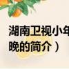 湖南衛視小年夜春晚（關于湖南衛視小年夜春晚的簡介）