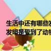 生活中還有哪些發明是受到了動物的啟發（生活中還有哪些發明是受到了動物的啟發）